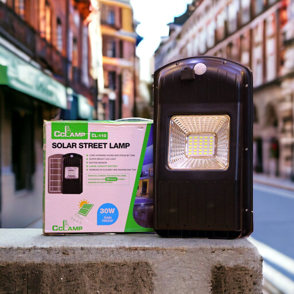Solar Street Lamp - CL110