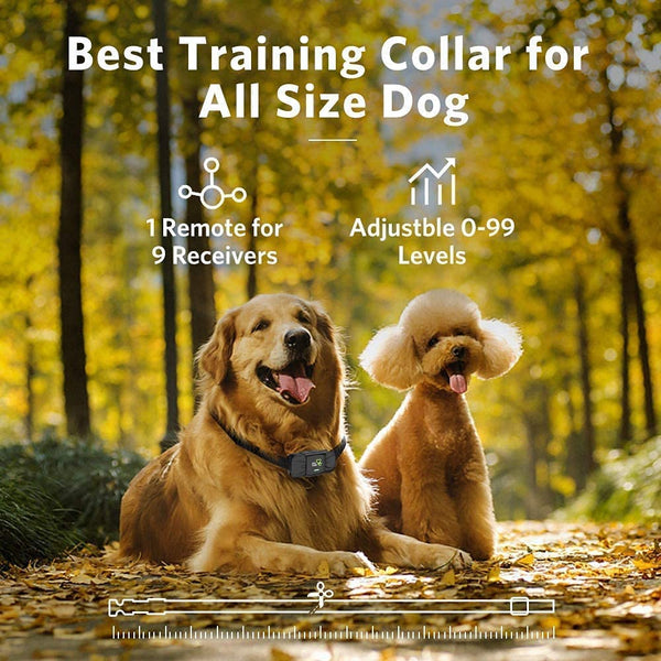 Dog Training Collar TC-01