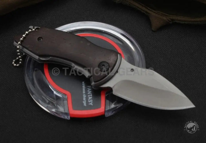 Compact folding knife with dark handle and silver blade, Buck USA X75 Classic Mini