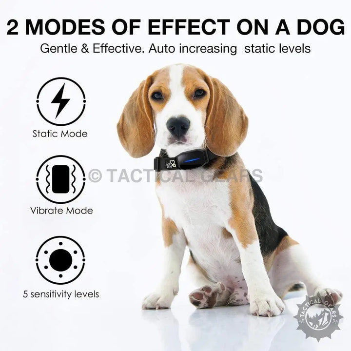 Beagle wearing Dog Smart Bark Controller with adjustable modes and sensitivity levels