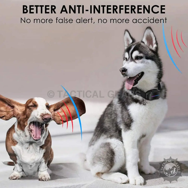Dog Smart Bark Controller training collar for effective anti-interference and false alert prevention
