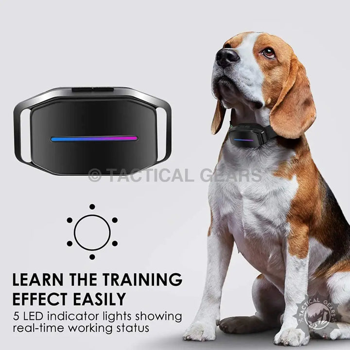 Black dog training collar with LED indicator lights for the Dog Smart Bark Controller, a smart bark controller