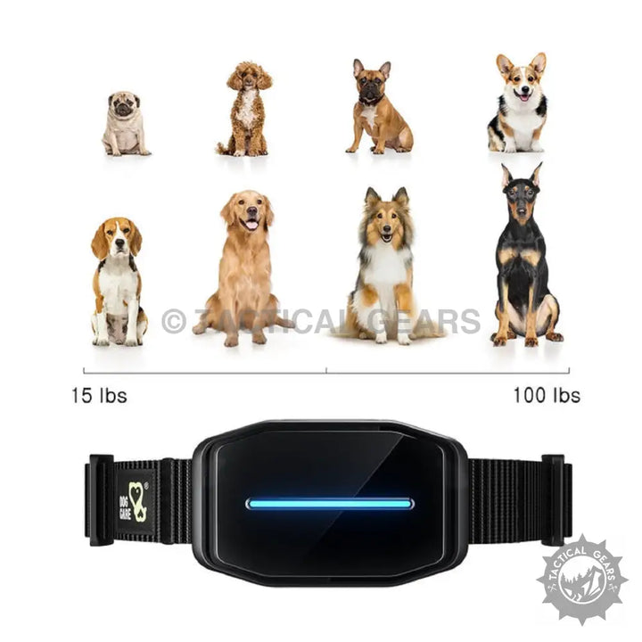 Black Dog Smart Bark Controller with blue light display for effective bark training