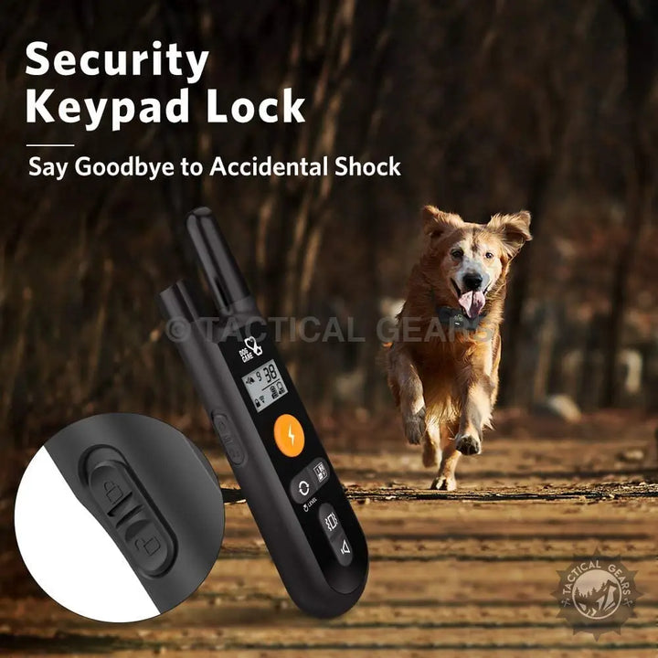 Black Dog Training Collar TC-01 remote with digital display and keypad lock for outdoor training