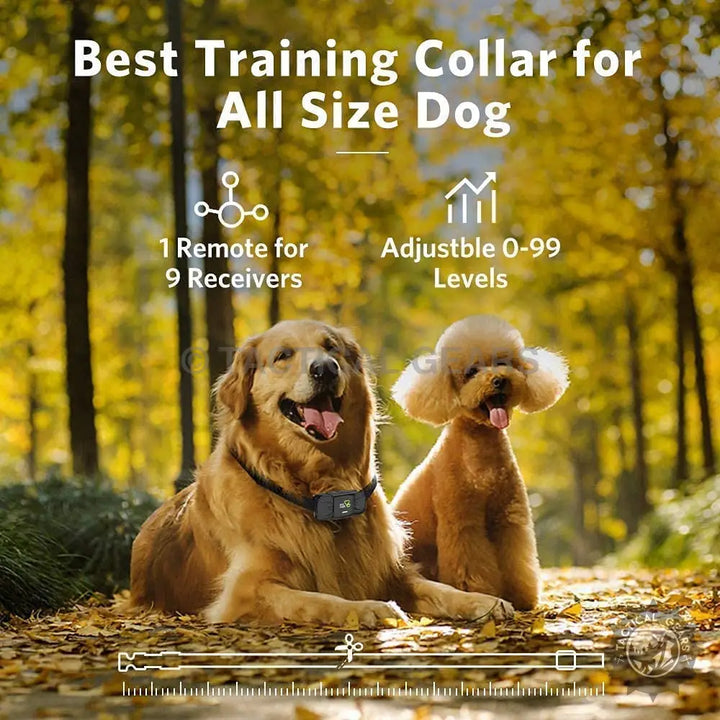 Dog Training Collar TC-01 for outdoor training, adjustable levels, fits all dog sizes