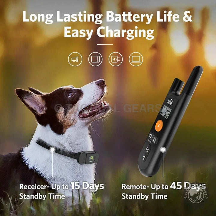 Dog Training Collar TC-01 with remote and long battery life for outdoor training