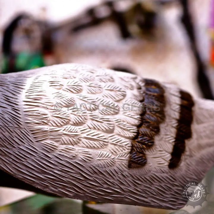 Realistic dove decoy with detailed feather carving and dark wing bars for hunting decoys