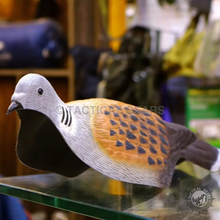 Realistic plastic dove decoys with detailed feather patterns for dove hunting and decoy use