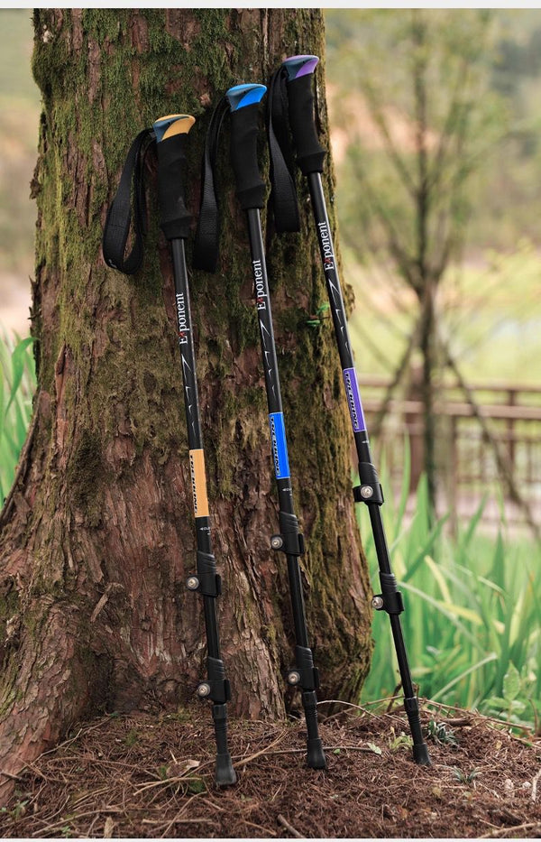 Three adjustable folding hiking sticks with colorful accents for versatile trekking adventures
