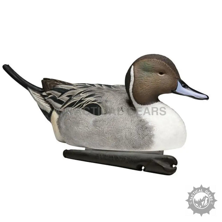Lifelike Northern Pintail duck decoy with weighted keel for realistic duck decoys display