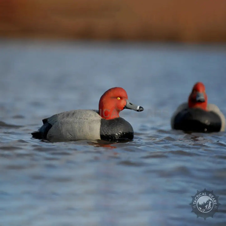 Floating red-head duck decoys for hunting pair, realistic red-head duck decoys